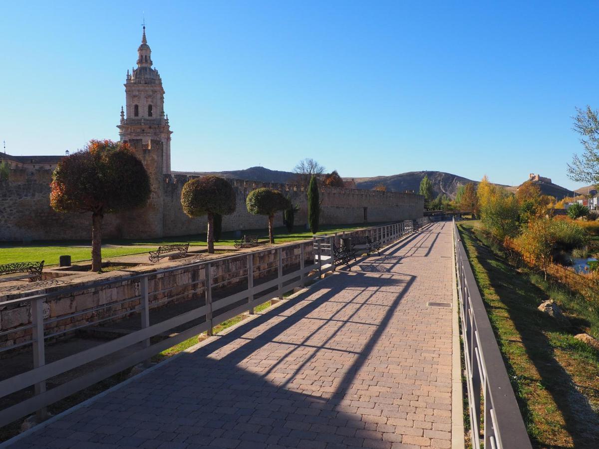 La Casona del Zoilo -La Rasa- El Burgo De Osma Exterior foto